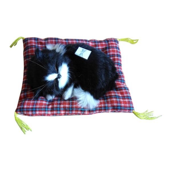 لعبة قطة نائمة لطيفة مع الصوت