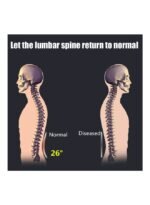 ⁦جهاز تدليك الظهر بتقويم العمود الفقري⁩ - الصورة ⁦3⁩