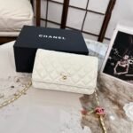 حقيبة شانيل الجديدة ١٩*١٢ سم