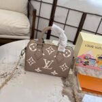حقيبة LV المنقوشة