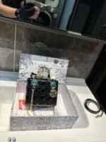 حقيبة ديور برنسيس أنيقة