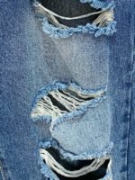 ⁦جينز جيفنشي فور سيزونز⁩ - الصورة ⁦7⁩