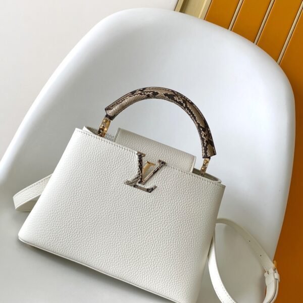 حقيبة لويس فيتون LV